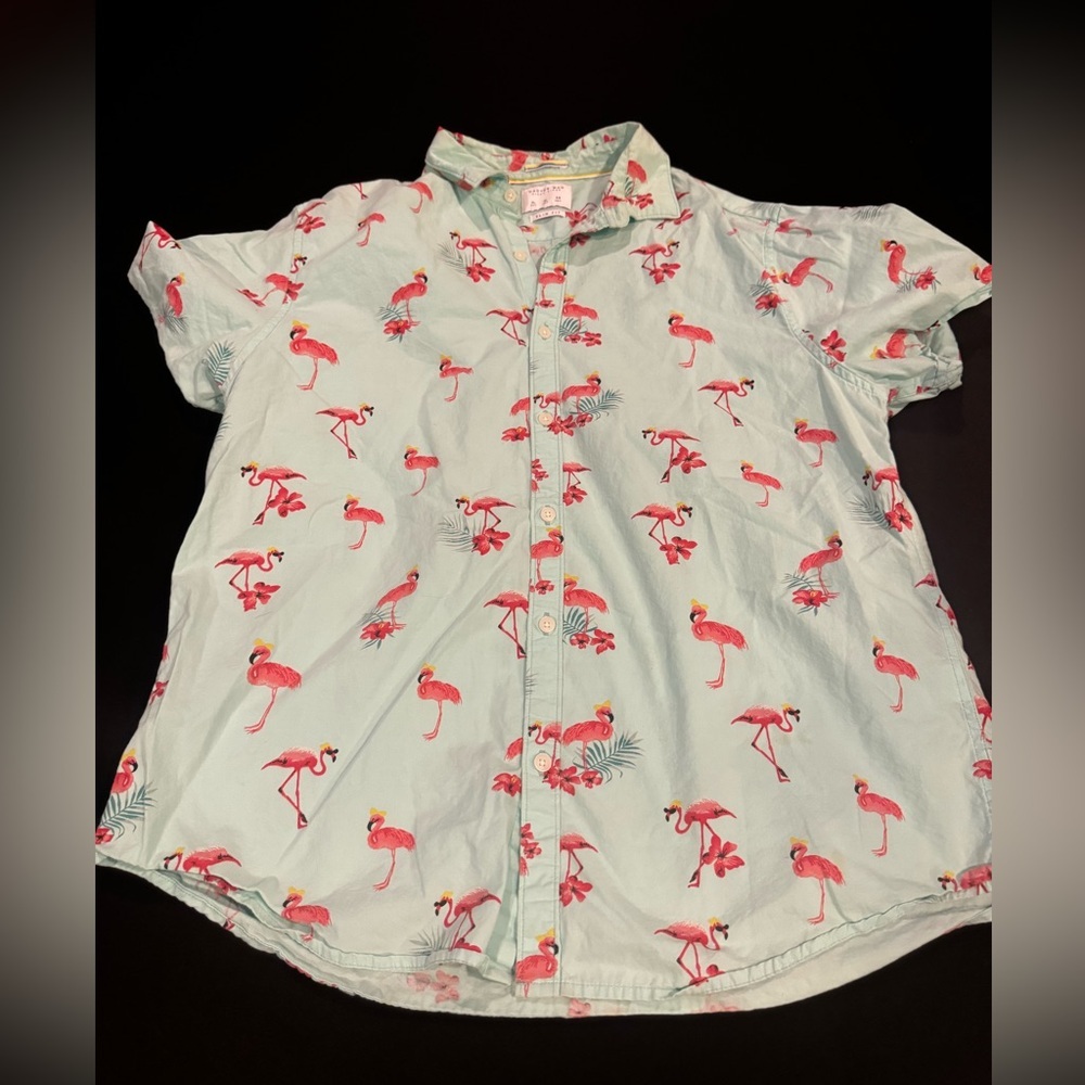 Cactus Man Ricky Singh Flamingo Print Button Down Shirt
